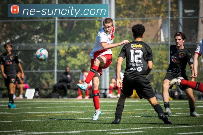 太阳城网站服务体系